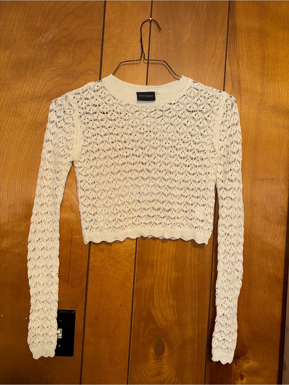 Aritzia Ivory Crochet Lace Long-Sleeve Crop Top